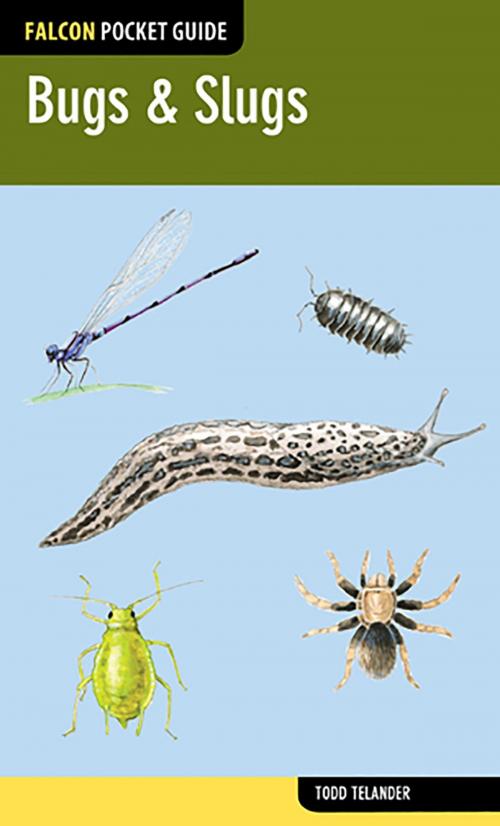 Cover of the book Bugs & Slugs by Todd Telander, Falcon Guides