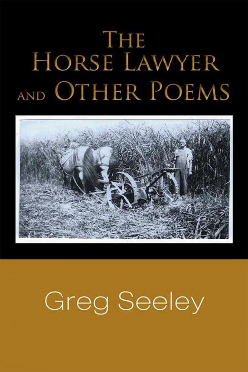 Cover of the book The Horse Lawyer and Other Poems by Greg Seeley, AuthorHouse