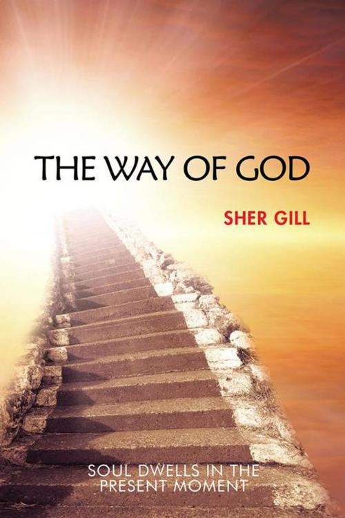 Cover of the book The Way of God by Sher Gill, AuthorHouse UK