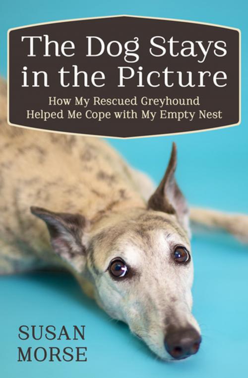 Cover of the book The Dog Stays in the Picture by Susan Morse, Open Road Media