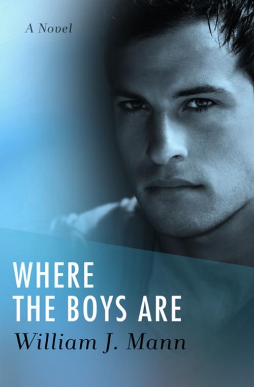 Cover of the book Where the Boys Are by William J. Mann, Open Road Media