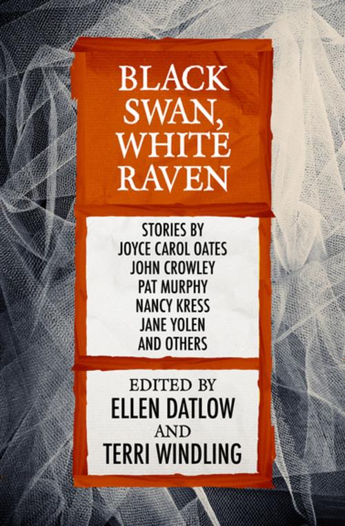 Cover of the book Black Swan, White Raven by Ellen Datlow, Terri Windling, Open Road Media