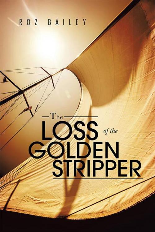 Cover of the book The Loss of the Golden Stripper by Roz Bailey, Xlibris AU