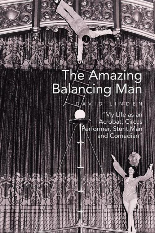 Cover of the book The Amazing Balancing Man by David Linden, Xlibris US