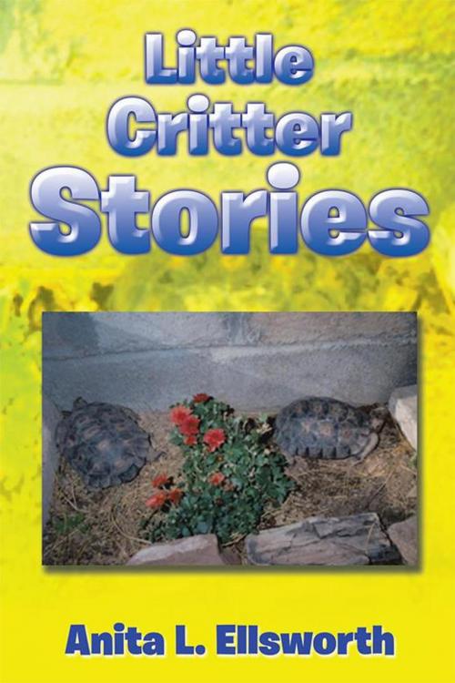 Cover of the book Little Critter Stories by Anita L. Ellsworth, Xlibris US