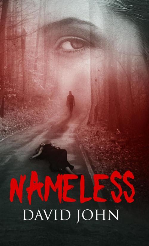 Cover of the book Nameless by David John, David John