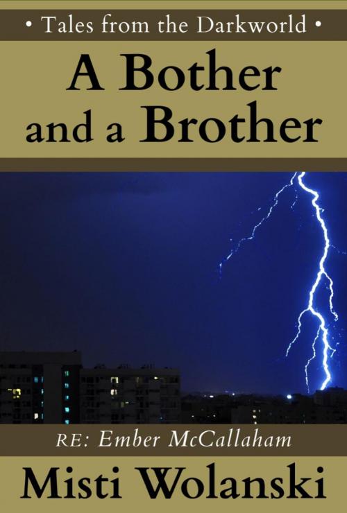 Cover of the book A Bother and a Brother: a short story by Misti Wolanski, Misti Wolanski