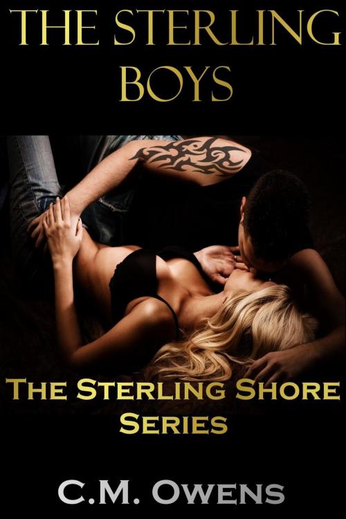 Cover of the book The Sterling Boys (The Sterling Shore Series #3) by C.M. Owens, C.M. Owens