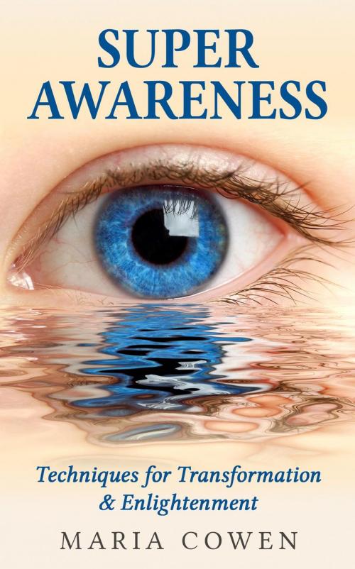 Cover of the book Super Awareness by Maria Cowen, none