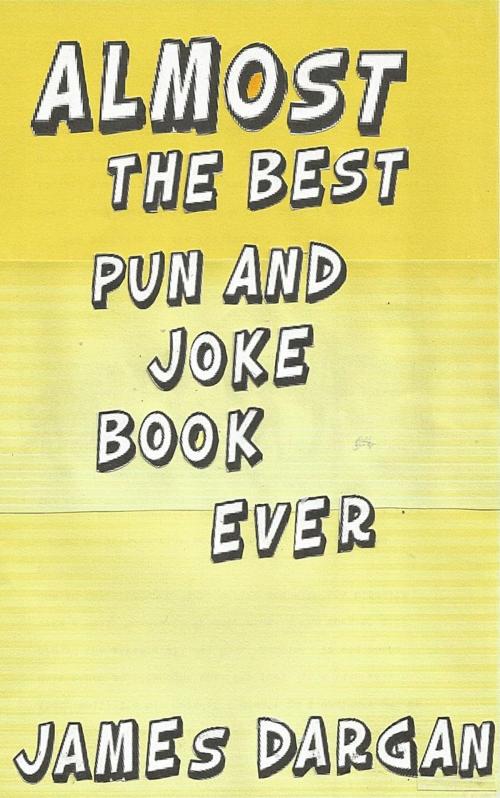 Cover of the book Almost the Best Pun and Joke Book Ever by James Dargan, Danny Boy Books