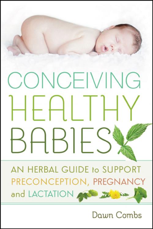 Cover of the book Conceiving Healthy Babies by Dawn Combs, New Society Publishers