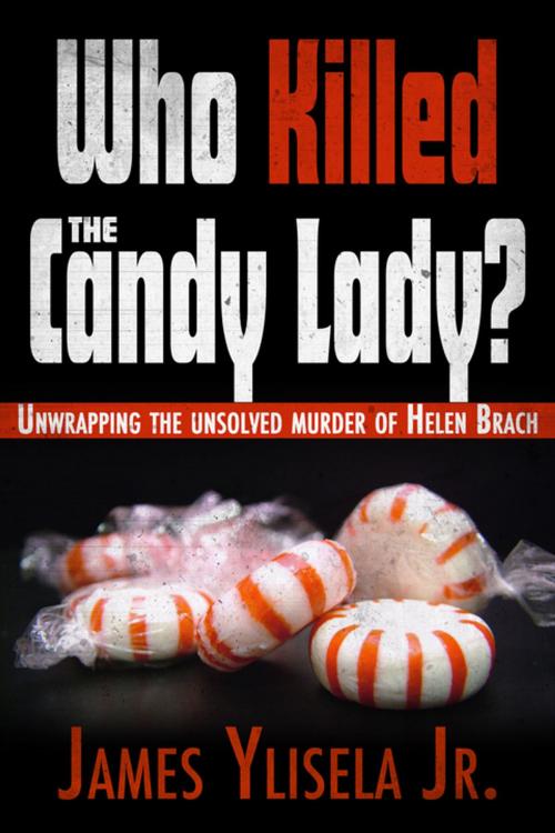 Cover of the book Who Killed the Candy Lady? by James Ylisela, Agate Digital