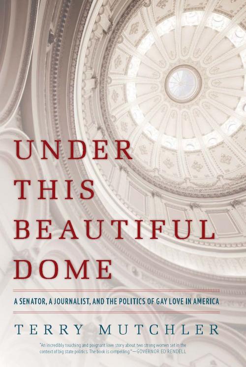 Cover of the book Under This Beautiful Dome by Terry Mutchler, Basic Books