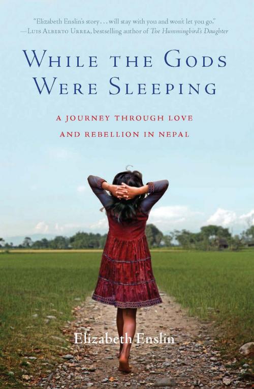 Cover of the book While the Gods Were Sleeping by Elizabeth Enslin, Basic Books