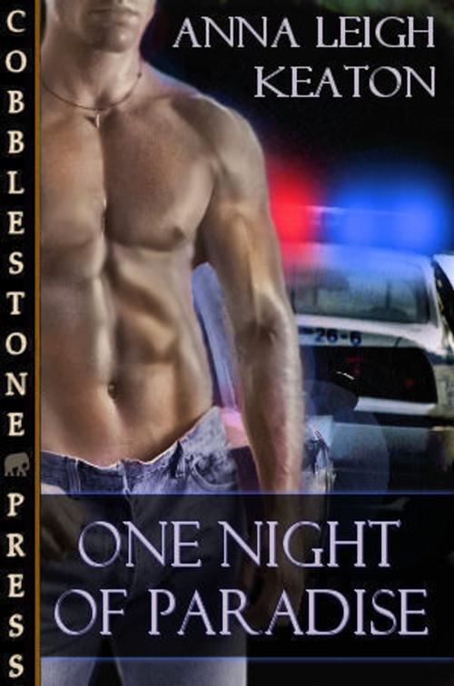 Cover of the book One Night in Paradise by Anna Leigh Keaton, Cobblestone Press