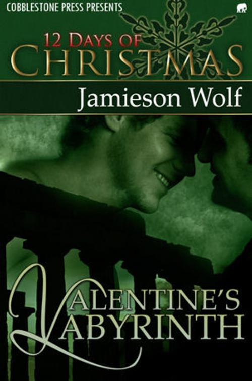 Cover of the book Valentine's Labyrinth by Jamieson Wolf, Cobblestone Press