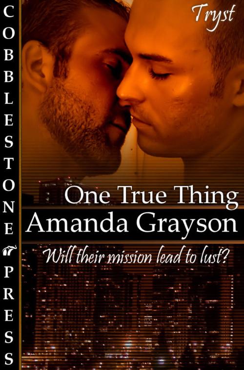 Cover of the book One True Thing by Amanda Grayson, Cobblestone Press