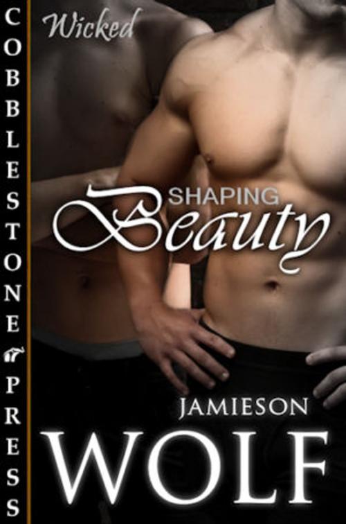 Cover of the book Shaping Beauty by Jamieson Wolf, Cobblestone Press
