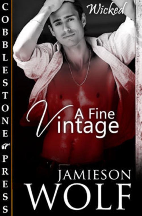 Cover of the book A Fine Vintage by Jamieson Wolf, Cobblestone Press