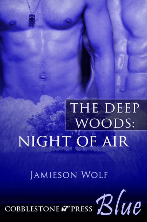 Cover of the book Night of Air by Jamieson Wolf, Cobblestone Press
