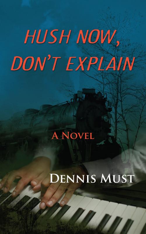 Cover of the book Hush Now, Don't Explain by Dennis Must, Coffeetown Press