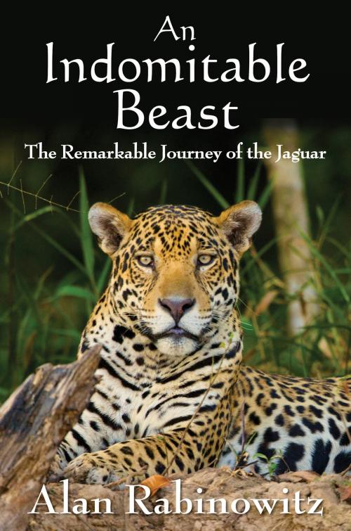 Cover of the book An Indomitable Beast by Alan Rabinowitz, Island Press