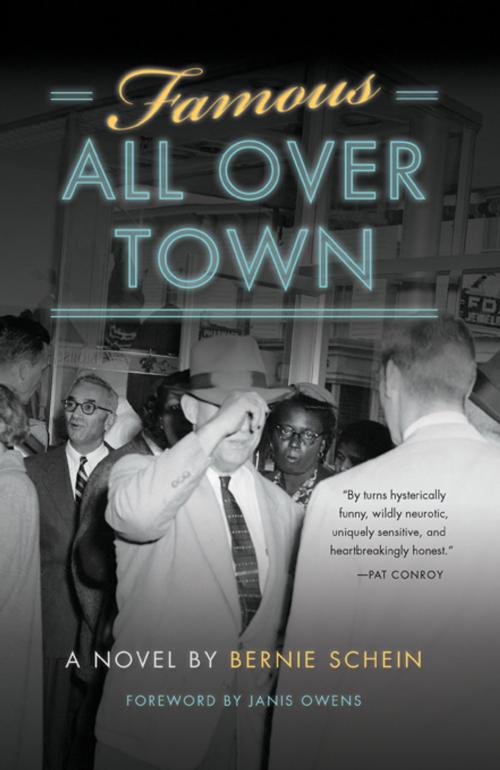 Cover of the book Famous all over Town by Bernie Schein, University of South Carolina Press