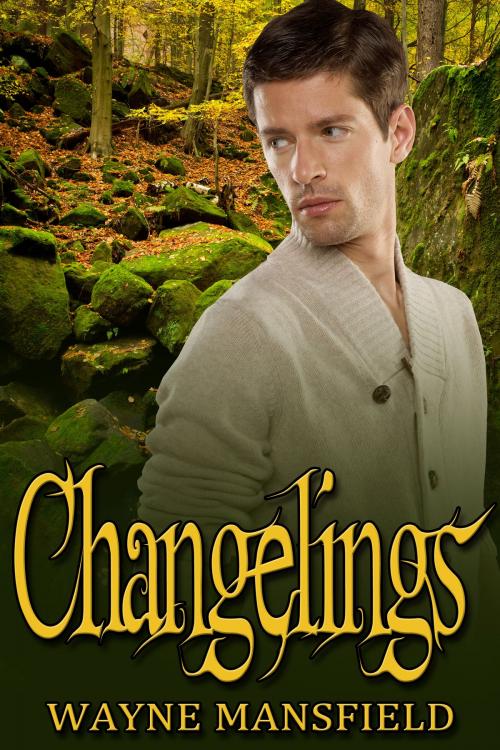 Cover of the book Changelings by Wayne Mansfield, JMS Books LLC