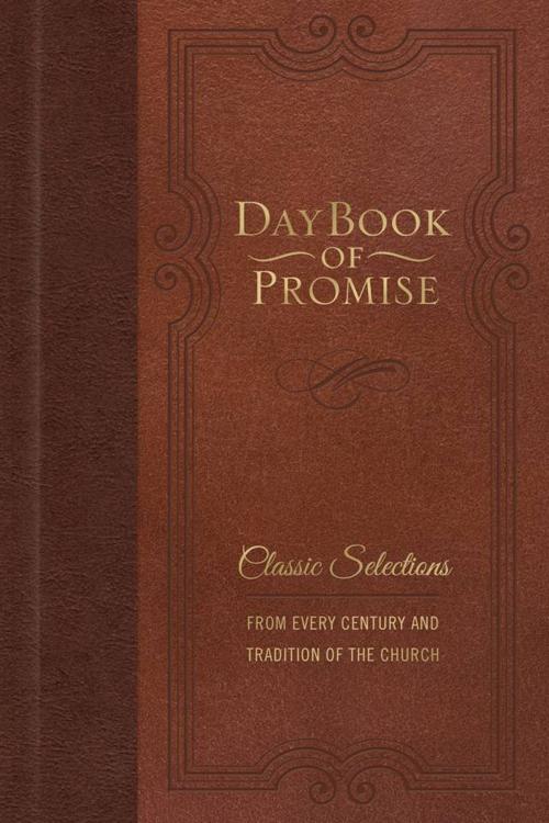 Cover of the book Daybook of Promise by Worthy Inspired, Worthy