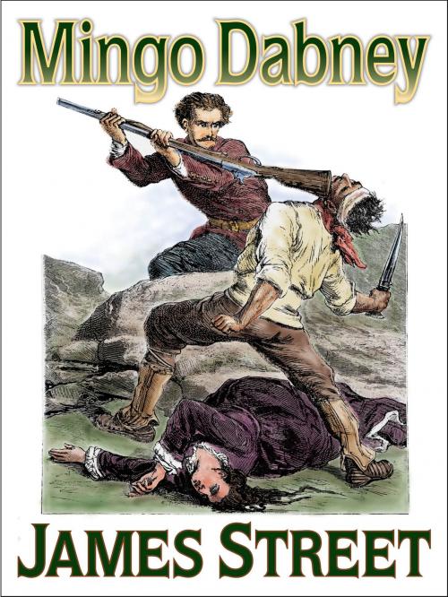 Cover of the book Mingo Dabney by James H Street, eNet Press Inc.