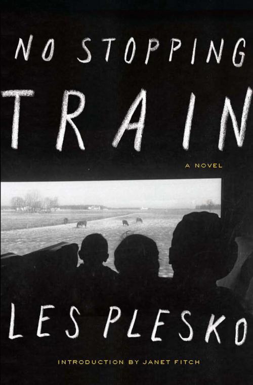 Cover of the book No Stopping Train by Les Plesko, Soft Skull Press
