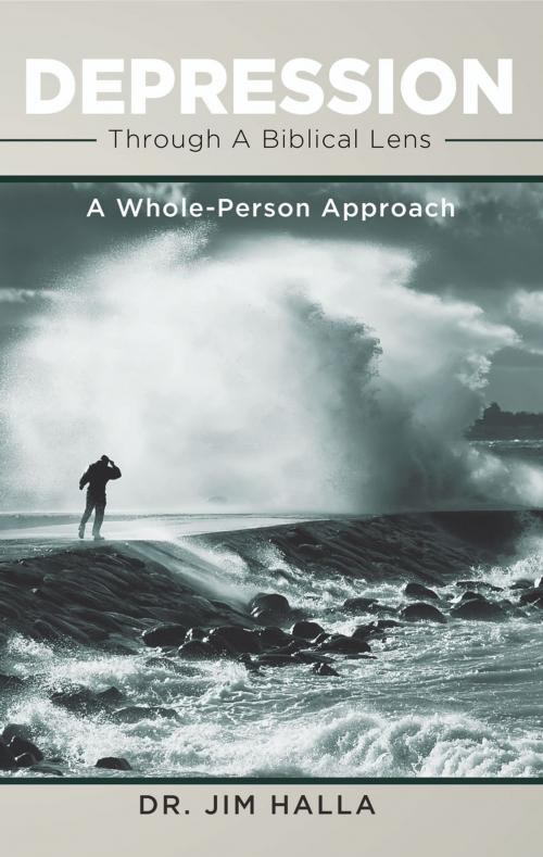 Cover of the book Depression Through A Biblical Lens by Dr. Jim Halla, Ambassador International