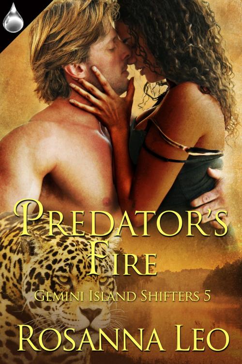 Cover of the book Predator's Fire by Rosanna Leo, Liquid Silver Books