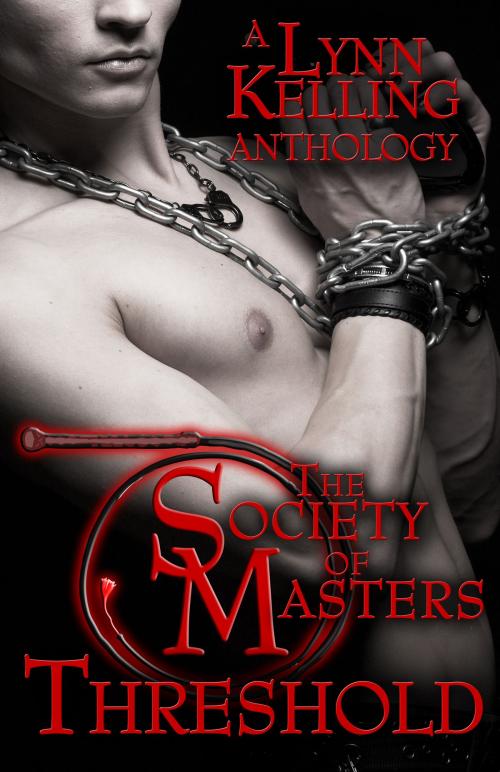 Cover of the book Threshold: A Society of Masters Anthology by Lynn Kelling, Enspire Publishing
