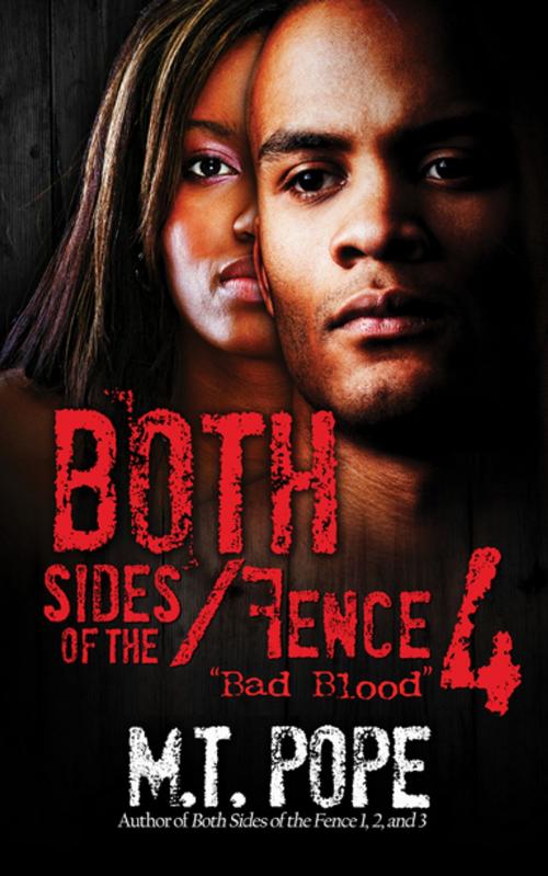 Cover of the book Both Sides of the Fence 4 by M.T. Pope, Urban Books