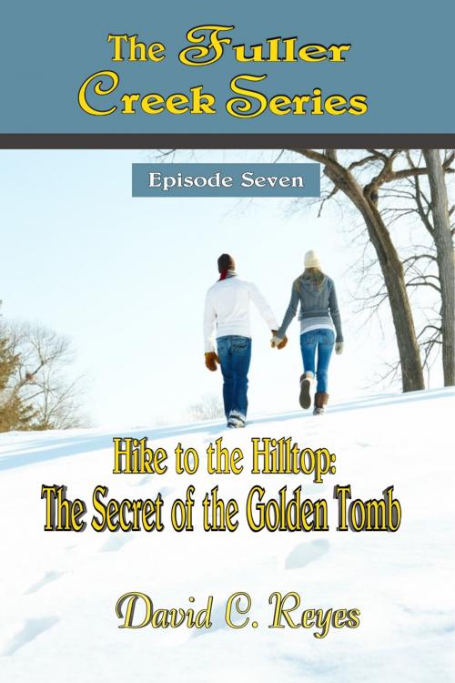 Cover of the book The Fuller Creek Series by David C. Reyes, First Edition Design Publishing