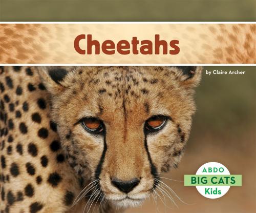 Cover of the book Cheetahs by Claire Archer, ABDO