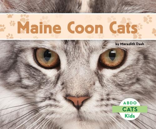 Cover of the book Maine Coon Cats by Meredith Dash, ABDO