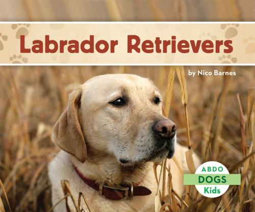 Cover of the book Labrador Retrievers by Nico Barnes, ABDO