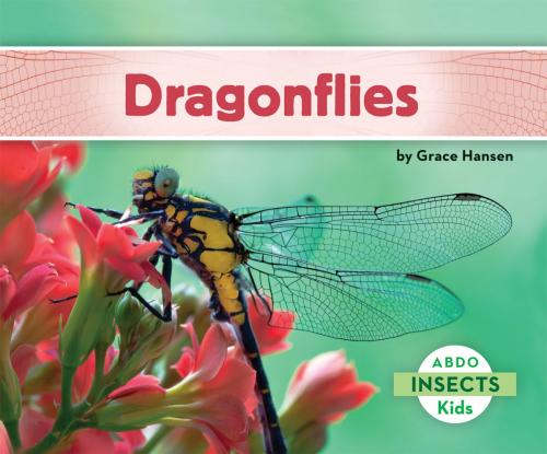 Cover of the book Dragonflies by Grace Hansen, ABDO