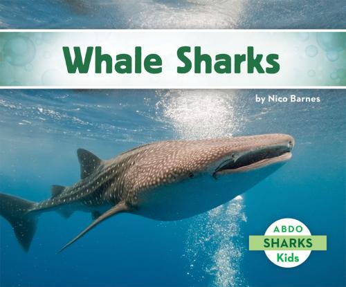 Cover of the book Whale Sharks by Nico Barnes, ABDO