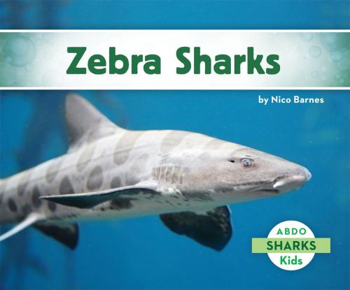 Cover of the book Zebra Sharks by Nico Barnes, ABDO