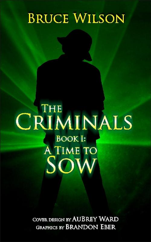 Cover of the book The Criminals by Bruce Wilson, Strategic Book Publishing & Rights Co.