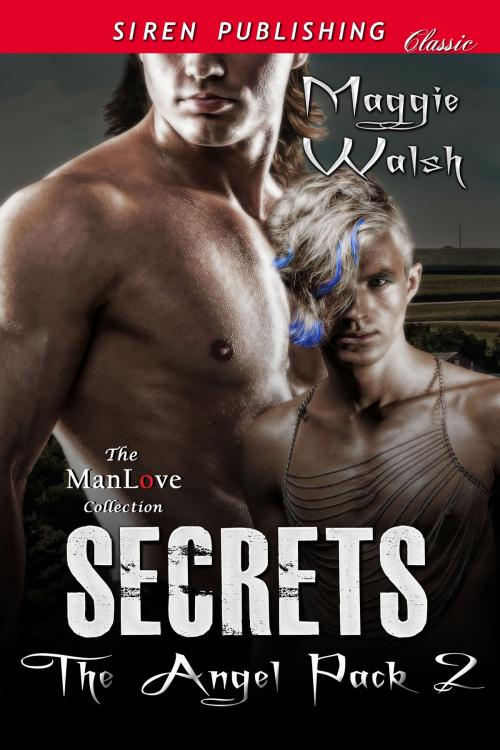 Cover of the book Secrets by Maggie Walsh, Siren-BookStrand