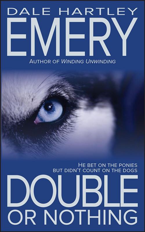 Cover of the book Double or Nothing by Dale Hartley Emery, Driscoll Brook Press