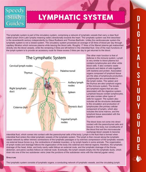 Cover of the book Lymphatic System by Speedy Publishing, Speedy Publishing LLC