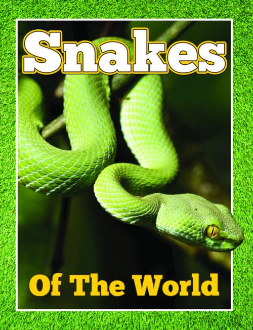 Cover of the book Snakes Of The World by Speedy Publishing, Speedy Publishing LLC