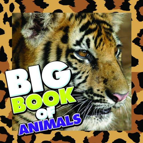 Cover of the book Big Book of Animals by Speedy Publishing, Speedy Publishing LLC