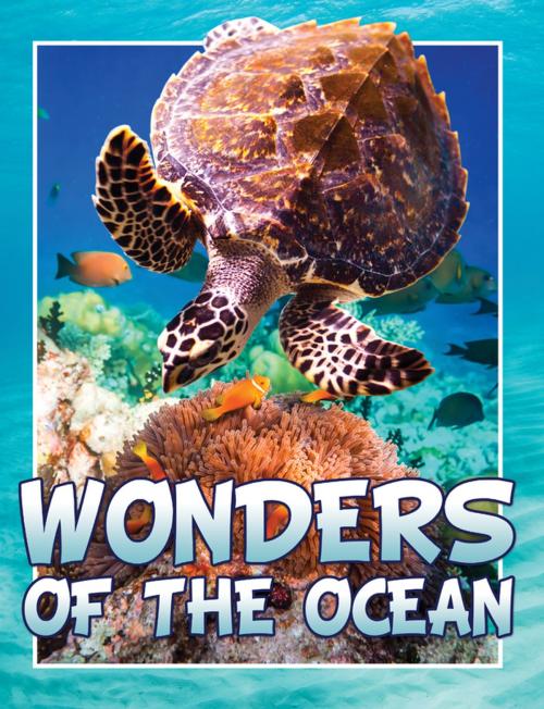 Cover of the book Wonders Of The Ocean by Marshall Koontz, Speedy Publishing LLC