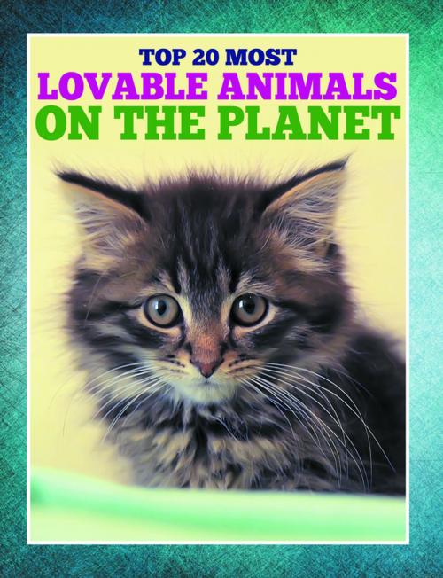Cover of the book Top 20 Most Lovable Animals On The Planet by Speedy Publishing, Speedy Publishing LLC